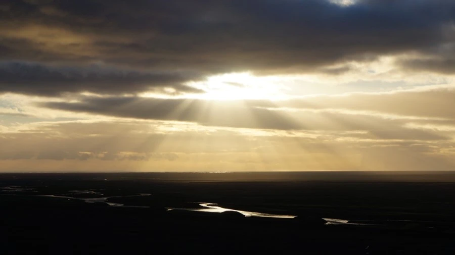 DSC08973.jpg?type=w1