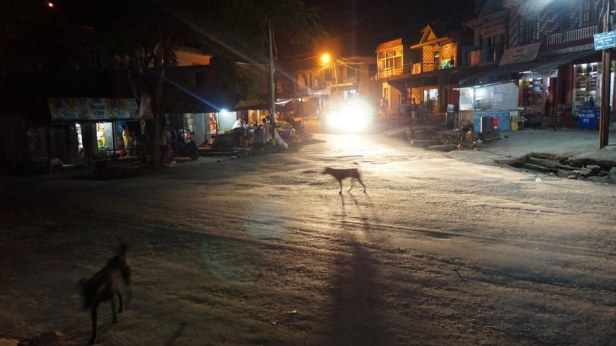 DSC00961%A4%BB.jpg?type=w1