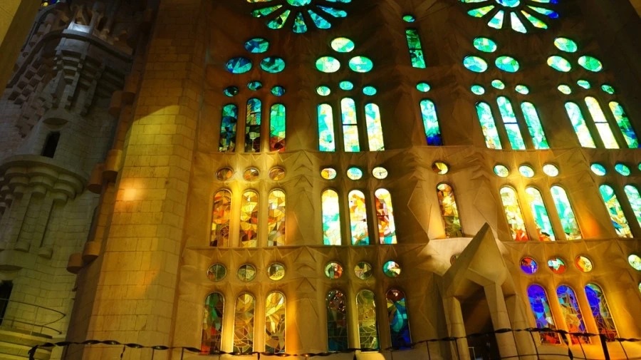 DSC09507.jpg?type=w1