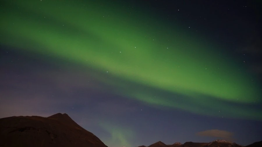 DSC09101.jpg?type=w1