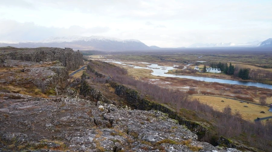 DSC07522.jpg?type=w1