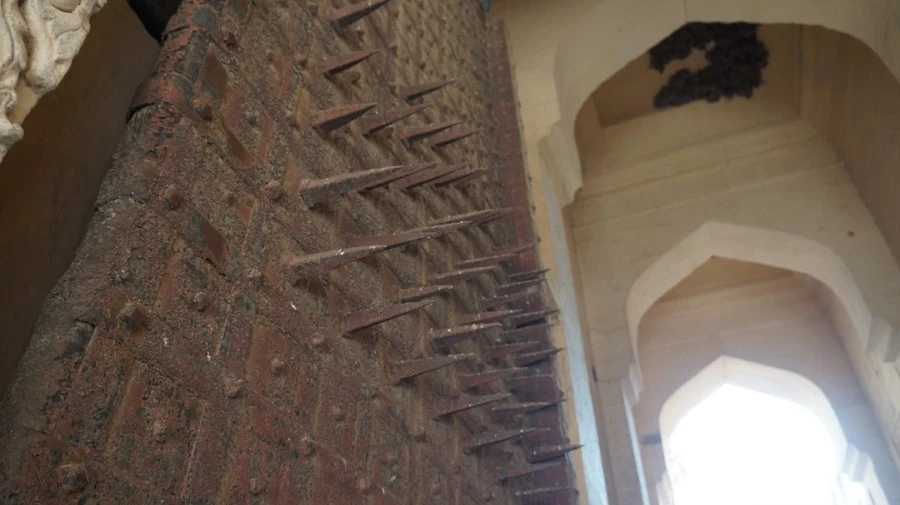 DSC03018.jpg?type=w1