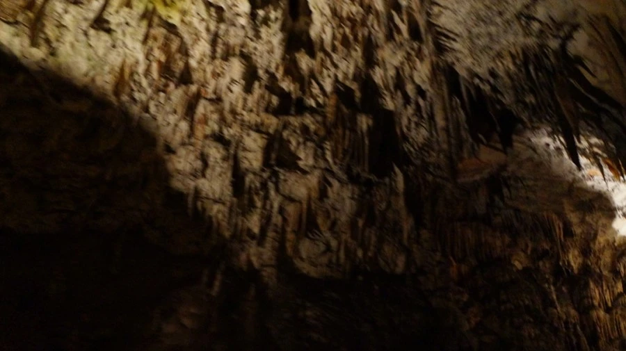 DSC06502.jpg?type=w1