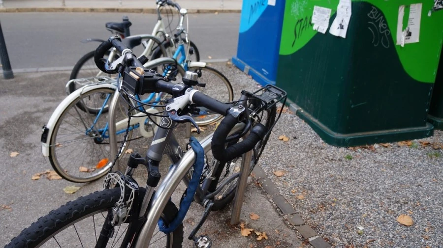 DSC05279.jpg?type=w1