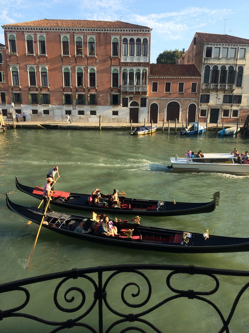 IMG_4339.jpg?type=w1