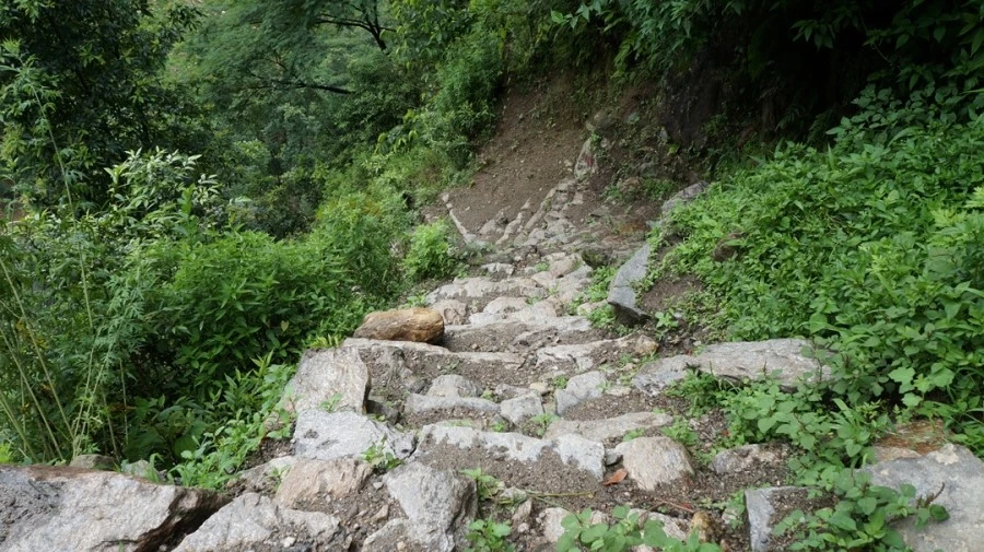 DSC01059%A4%BB.jpg?type=w1