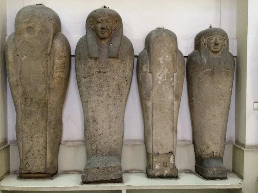 IMG_3257.jpg?type=w1