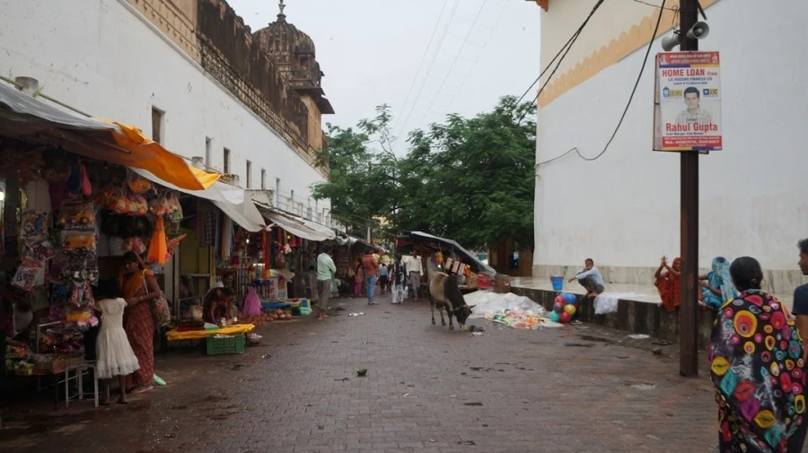 DSC03363.jpg?type=w1