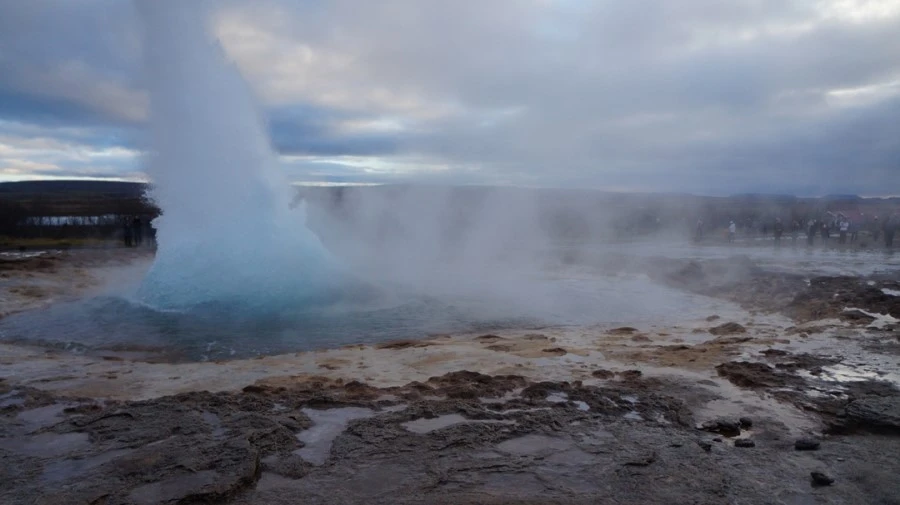 DSC07798%E3%85%A1.jpg?type=w1