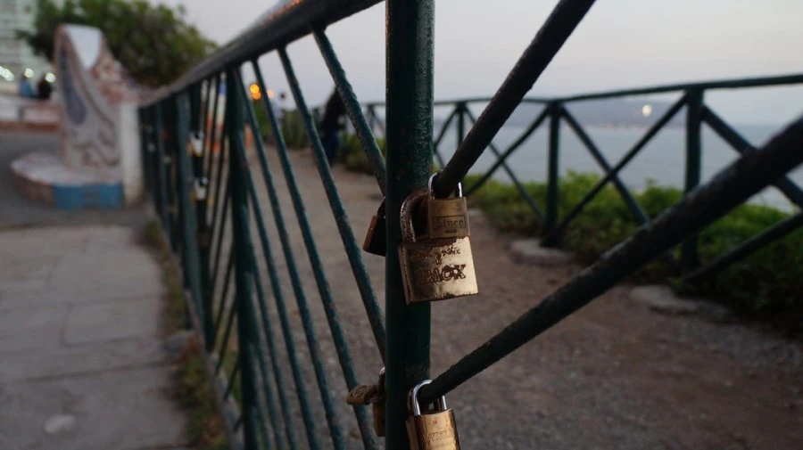 DSC00055.jpg?type=w1