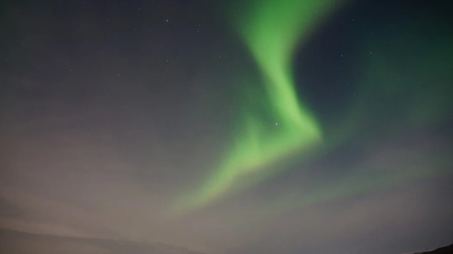 DSC09097%E3%85%A1.jpg?type=w1