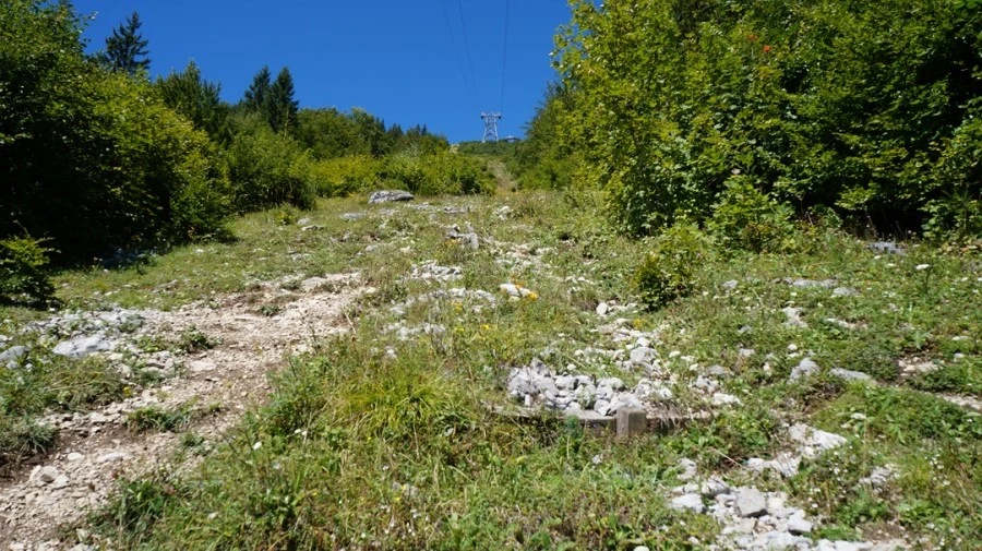 DSC04819.jpg?type=w1