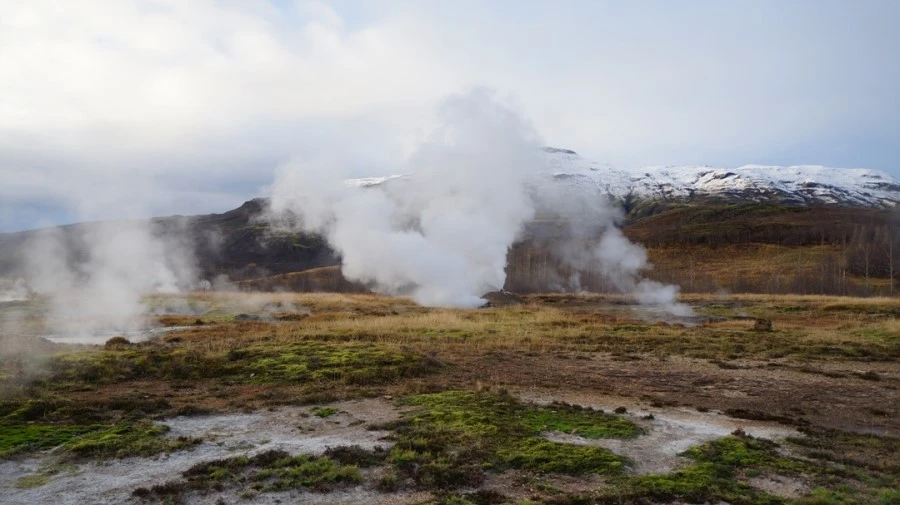 DSC07748.jpg?type=w1