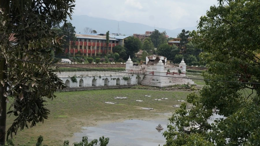 DSC00706-.JPG?type=w1