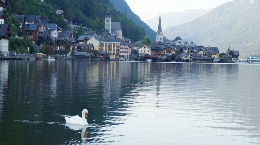 DSC05211.jpg?type=w1