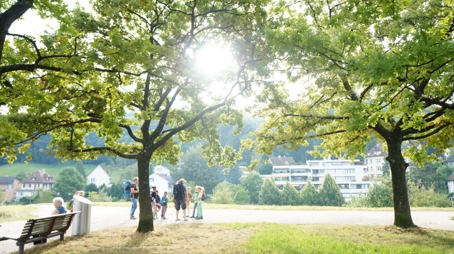 DSC04602.jpg?type=w1