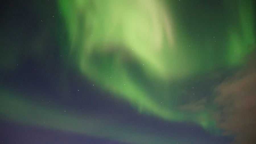 DSC09103%E3%85%A1.jpg?type=w1