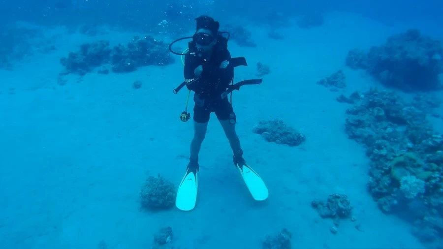 2016_0828_114840_010A.MOV.%BD%BA%C6%BF002.jpg?type=w1