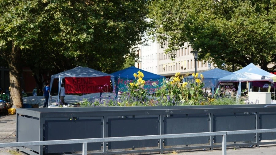 DSC04944.jpg?type=w1