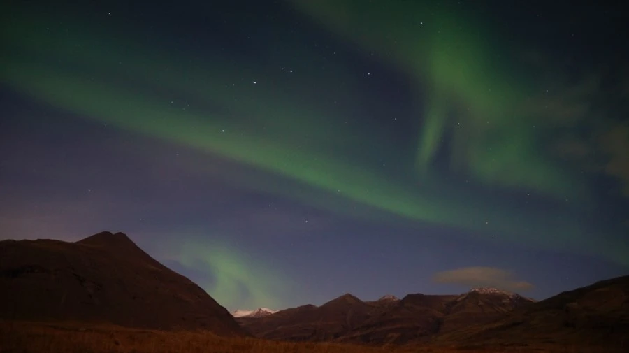 DSC09102.jpg?type=w1