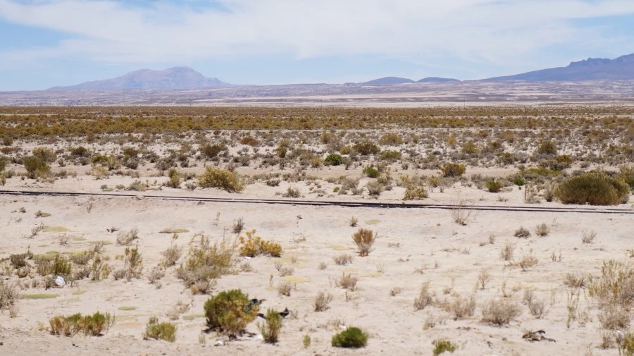 DSC01020.jpg?type=w1