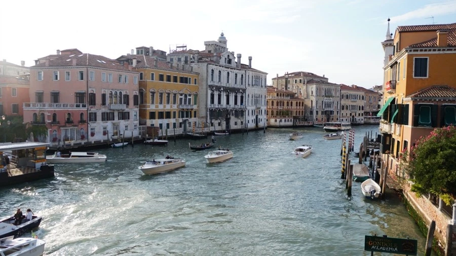 DSC06748.jpg?type=w1