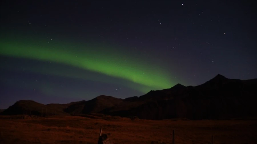 DSC09059.jpg?type=w1