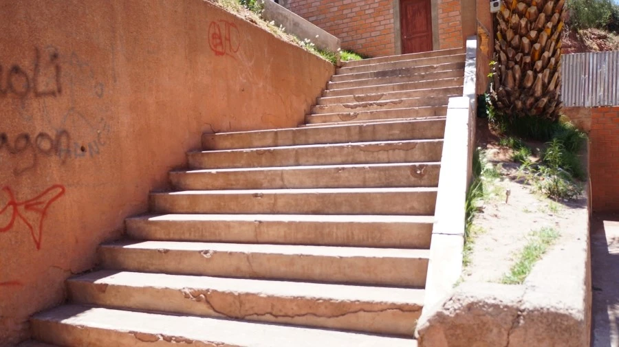 DSC00666.jpg?type=w1