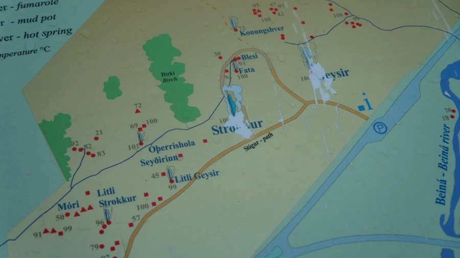 DSC07839.jpg?type=w1