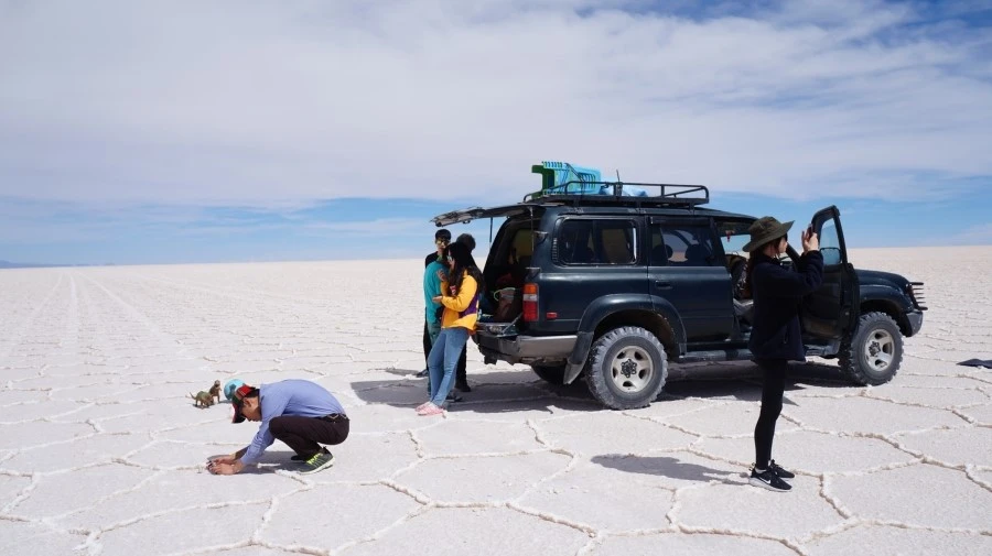 DSC01217.jpg?type=w1