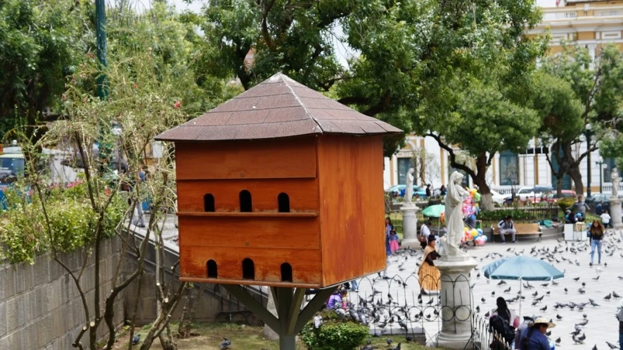 DSC00475.jpg?type=w1