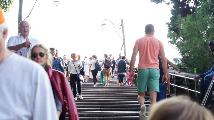 DSC06746.jpg?type=w1