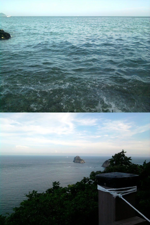 PICA875.PNG?type=w966