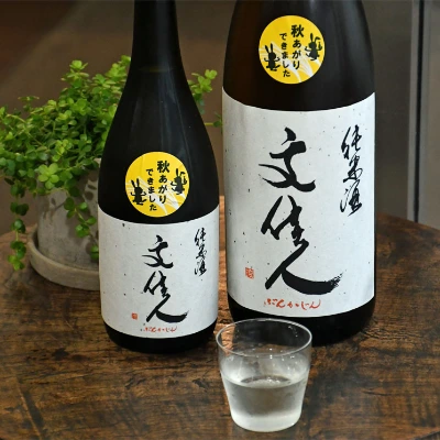 4_000000000691.jpg?1678209904