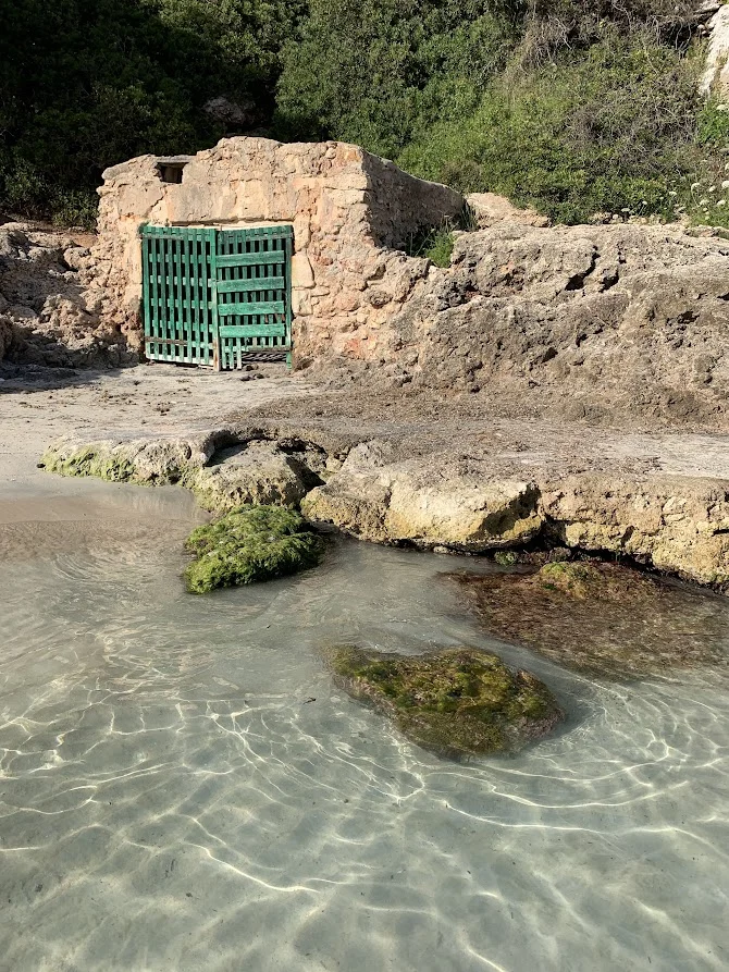 DlmhmvWN05AkQyfA4haO50o7YtZeAFRDVLi_FnrIDKIGJ5Haz467KS5LSRMLaR1jdUsZf6B3SKVU6hYOX2Z-gf5nSyIkgcbOJrK0oqETb88nYYxu2e99xiQiWrYf_2d12WwFIyEHwOrHCUCAC0kTXrnFO-kLLDN6wzP1qwQtU_Kr3eTGZmRMSjA-WdrLBU8O_tqLx5-SpfpuB-b8gUEWOrc2txu6x2aavfHy4-R1WnCHMJkkmUOuO_rfKaasojbLKwfc-PIgVWBIs1wwsALwvugClMryuegUEFpwtUVrjgzvtmgkENjpUYuDpZ2clMSBuwBDFN05XiAKlc6iJDLec2LyBPW8KZf2pidbg38BASs-aYOZe6StS7sVPqBz25iHUj07LCUpPXsijLtyifvIcrPAC9OpTVymPO01aafwBXYW0RjPcm6R7sGFlItKdMBRdoKRlxcWwiQFkPyFZETpFSjGRCur6UzoJN6MSt4RXDEz2qwAMde-TzSOeu4bA_1zio-E11Hv78gFuJTLmNPS5_cZATb90xcrzADY2QJl6KqRTtrS14Imh6bC-MX7PdBp3n2fW5RhVzN44Hxou6HF2vE_aCaP3C9Ot64YEXl0fxv8bO5kb9SSzKo5-HjdIpYWhXGYNlISQlIGQtPCHpS_BoeylND9tYl2WI4wk6oHOM5ID3xg9s1U7mZXrYbV5aPer7LGt_qzbCDEowns3wDk9auKvpWvhO9uWwkv_Tu-1JBzyFs0wZcR=w670-h893-no?authuser=0