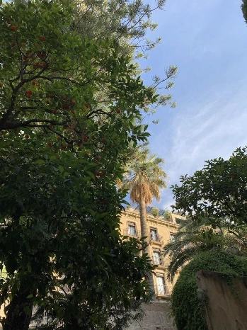 Xwk73zwUuEDfTrCz5sjZvA26txh3aMHkIDTSsP45rWCKjrctQXOxO04t2Z8-SKnSVbRNdZyCLUIcQuca15QnL5iwVkOsKnDmHekcUo9zwUA0v21Q0umYBhlIjg2oa4LWbVkALmQZE0ByPWi-6ZfDhgbAMezh_ovkp41PemULvFIWEG0D2-xS6OqDGenRY6UMiCr3tOw-rtBr6g0PiHwAC9GPlLTa8x4ORcTS9UGa8tvDAFQIcENrlfB8ApuZjHluW6mSKlwm7kJVNRrpGP4PBWRtsNQEioSOwfYGnuOnWiQhaiHl_2zln0c9QwhLOGAg4ooO8VT2g2bvt-bDgQwyJcbAfoKwnDwflguY-spVuOf88EmozrgkfObygH5Tc0Pf4pTem_CSigBauZ7YUxsFdXJO3IpNxLCmPQbuZtJGyRqknPijA41j2c1eZO-FIypTvNzieJXir-PJnu9y1lLjeUMPsNkegz-2vL7JOQd8D90YsGVVKVtt-sEPYMm2VfMCzi_CF5naOjrHannqzYSpKOc51o97QIoh2plfrgfjhc3dcMy3ejnh5Vmi7Iu4wiXYFA1l7faUu_vZ_b7XlDuGk98Tyuw_--BrQHZoPvSQh8n88nUIXJsIIbOUEZuXv6zc5cGhRriU45mTQ79S39myv7mpVCBZF4lhCcMRu_ES44SR8Gj3XreWPy25a7BDZOtXEHkvTfEA4hjldwLq0t5dpqeFDmZjULOb6rw5XndrX_kDAdqbZ_2M=w670-h893-no?authuser=0