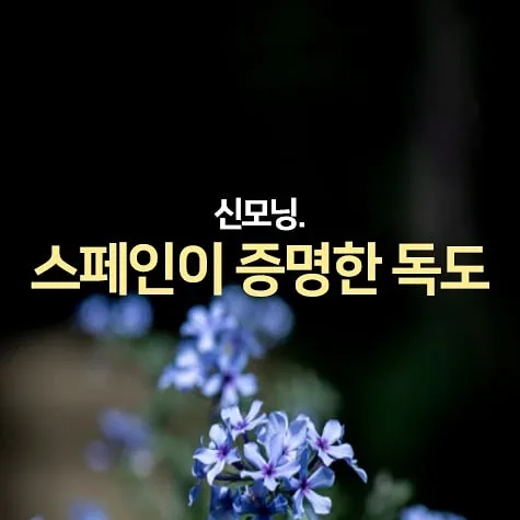 IMG%EF%BC%BF20210618%EF%BC%BF073725%EF%BC%BF874.jpg?type=w1