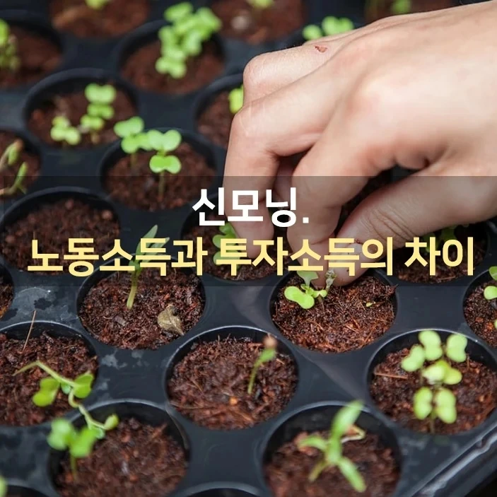 IMG%EF%BC%BF20220321%EF%BC%BF072108%EF%BC%BF537.jpg?type=w1