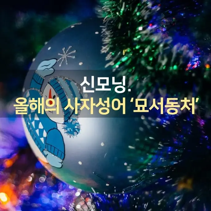 IMG%EF%BC%BF20211213%EF%BC%BF072052%EF%BC%BF103.jpg?type=w1