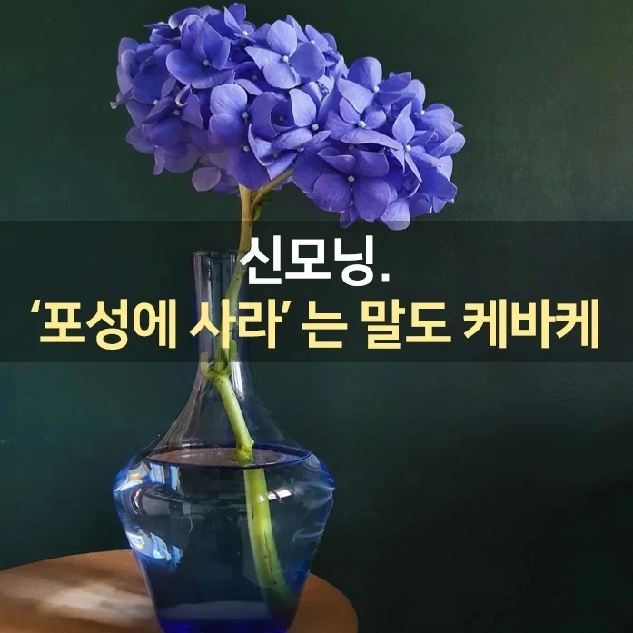 IMG%EF%BC%BF20220303%EF%BC%BF071634%EF%BC%BF644.jpg?type=w1