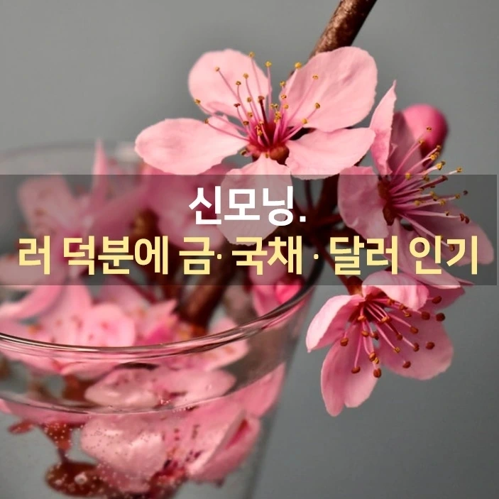 IMG%EF%BC%BF20220307%EF%BC%BF073443%EF%BC%BF451.jpg?type=w1