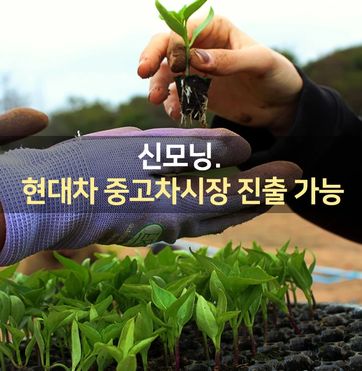 1647555825722.png?type=w1