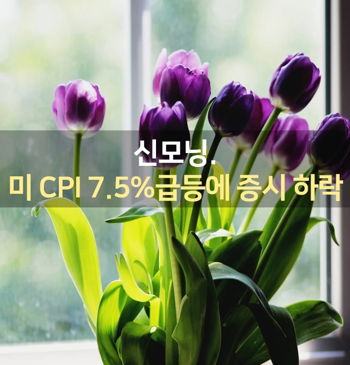 1644532477316.png?type=w1