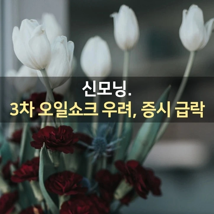 IMG%EF%BC%BF20220308%EF%BC%BF073810%EF%BC%BF738.jpg?type=w1