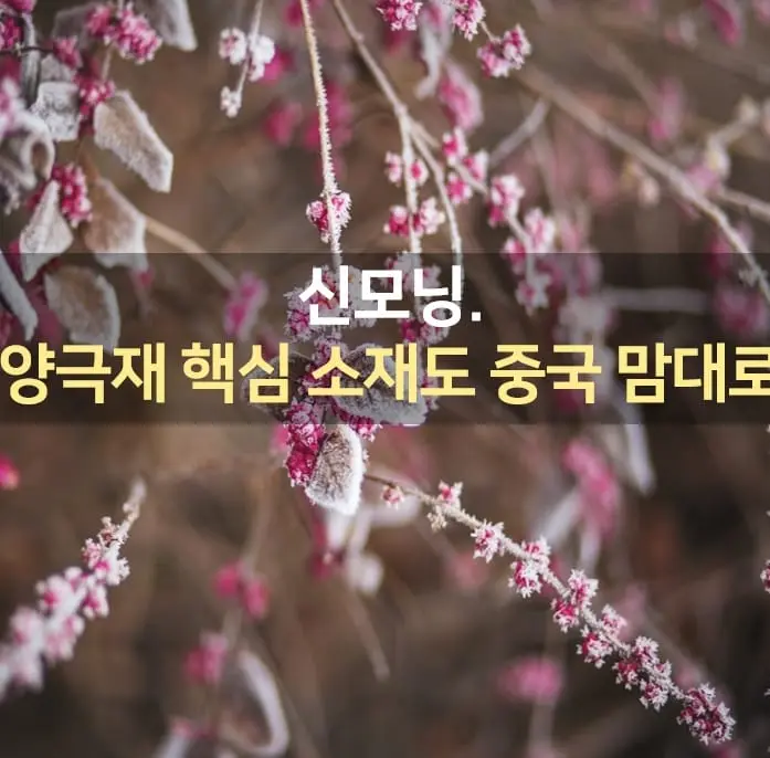 IMG%EF%BC%BF20211110%EF%BC%BF074451%EF%BC%BF861.jpg?type=w1