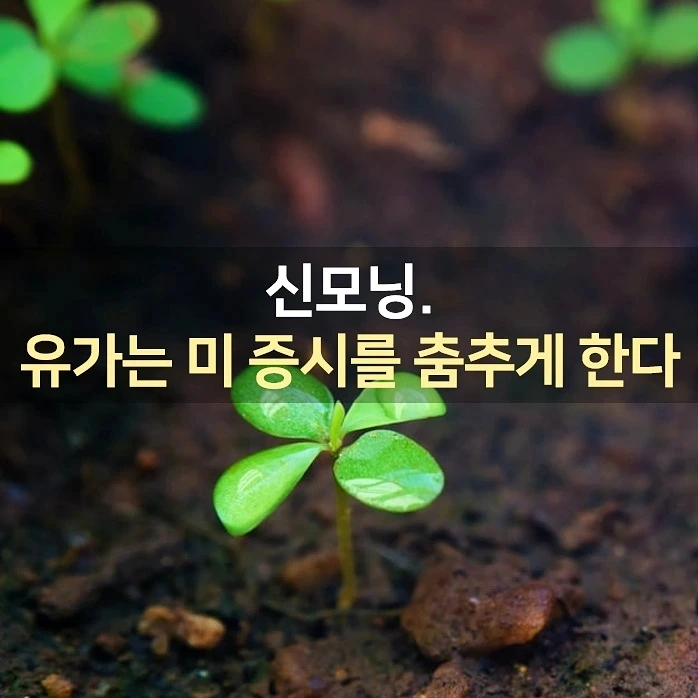 IMG%EF%BC%BF20220316%EF%BC%BF065819%EF%BC%BF518.jpg?type=w1