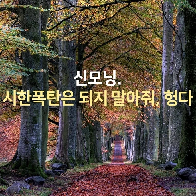 IMG%EF%BC%BF20210923%EF%BC%BF072207%EF%BC%BF966.jpg?type=w1