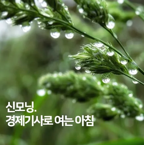 IMG%EF%BC%BF20210623%EF%BC%BF072201%EF%BC%BF042.jpg?type=w1