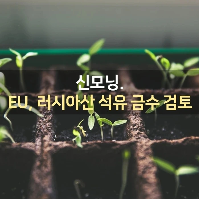 IMG%EF%BC%BF20220323%EF%BC%BF073533%EF%BC%BF775.jpg?type=w1