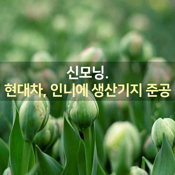 IMG%EF%BC%BF20220317%EF%BC%BF072704%EF%BC%BF262.jpg?type=w1